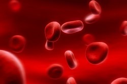 Анализы на ферменты поджелудочной железы Анализы на ферменты поджелудочной железы