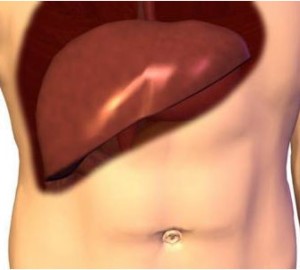 Как снизить уровень билирубина в крови у взрослых? Как снизить уровень билирубина в крови у взрослых?