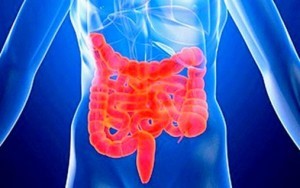 Из-за чего у взрослых бывают частые поносы и как их лечить Из-за чего у взрослых бывают частые поносы и как их лечить