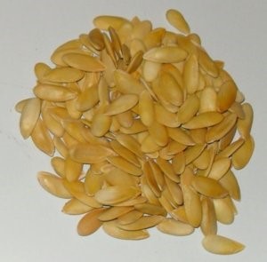 Как помогает дыня при панкреатите? Как помогает дыня при панкреатите?