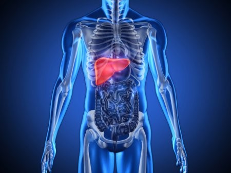 Чем полезна расторопша при панкреатите? Чем полезна расторопша при панкреатите?