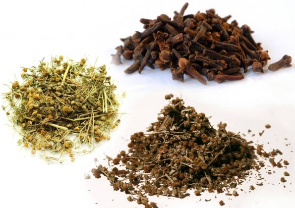 Помогут ли таблетки Пирантела от глистов? Помогут ли таблетки Пирантела от глистов?