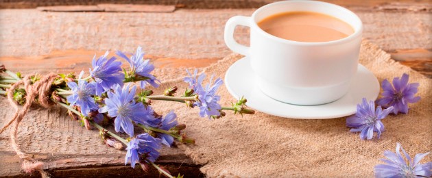 Можно ли пить цикорий при панкреатите Можно ли пить цикорий при панкреатите