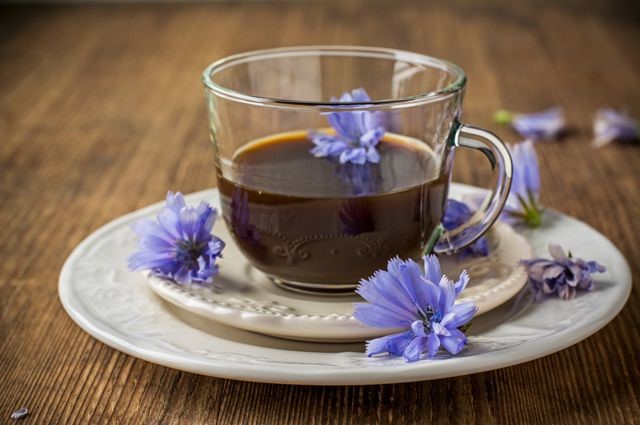 Применение цикория при панкреатите Применение цикория при панкреатите