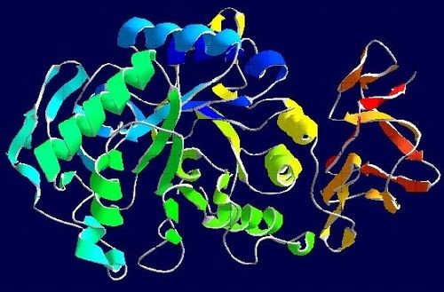 Диастаза мочи при панкреатите: норма и отклонение Диастаза мочи при панкреатите: норма и отклонение