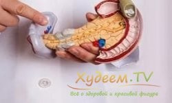 Поможет ли диета при таких заболеваниях, как панкреатит и гастрит? Поможет ли диета при таких заболеваниях, как панкреатит и гастрит?