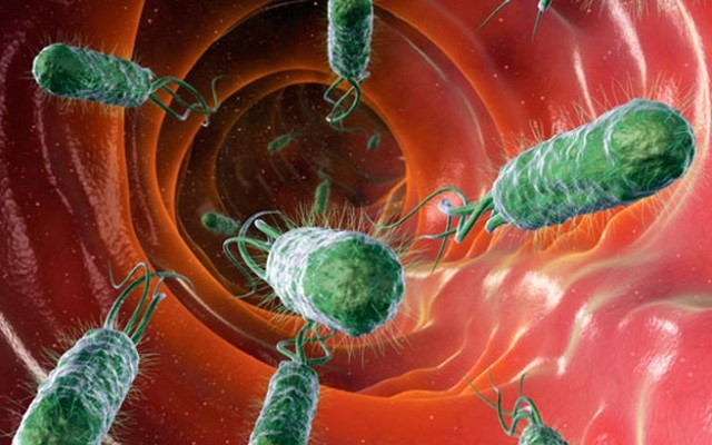 Симптомы и причины возникновения дисбактериоза у женщин Симптомы и причины возникновения дисбактериоза у женщин