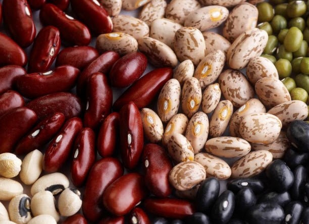 Фасоль при панкреатите: хитрости употребления бобовых Фасоль при панкреатите: хитрости употребления бобовых