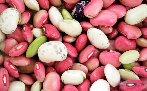 Фасоль при панкреатите: хитрости употребления бобовых Фасоль при панкреатите: хитрости употребления бобовых