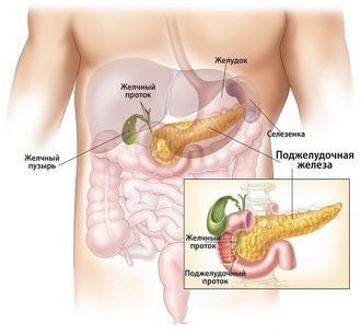 Поджелудочная железа:где расположена,какие болевые ощущения характерны Поджелудочная железа:где расположена,какие болевые ощущения характерны