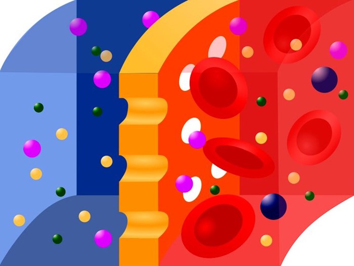 Для чего применяется гемодиализ почек Для чего применяется гемодиализ почек