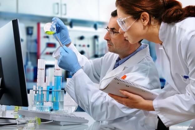 Фосфолипиды и гепатопротекторы для печени: препараты и лекарства Фосфолипиды и гепатопротекторы для печени: препараты и лекарства