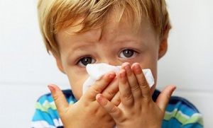 Как лечить зеленые сопли: причины возникновения зеленых соплей Как лечить зеленые сопли: причины возникновения зеленых соплей
