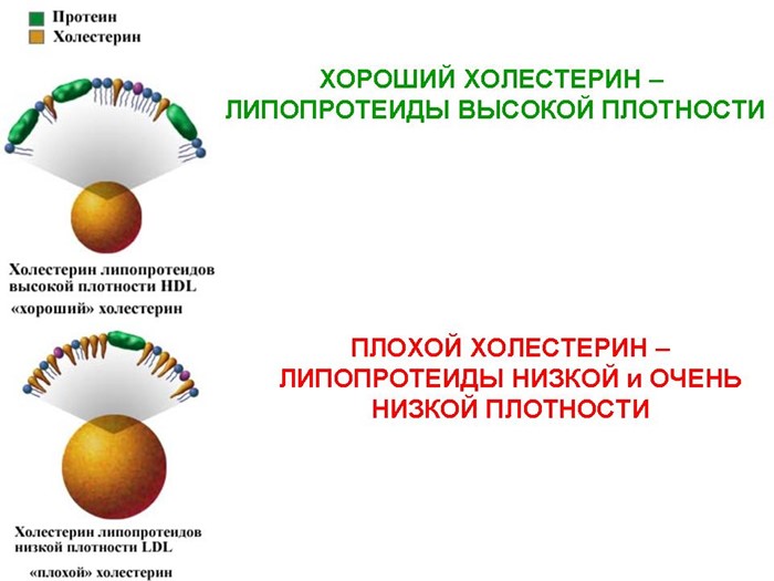 Медикаменты при высоких показателях холестерина Медикаменты при высоких показателях холестерина