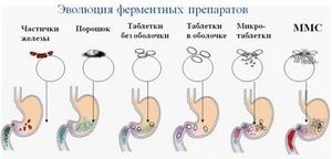 Каковы функции у ферментов поджелудочной железы? Каковы функции у ферментов поджелудочной железы?