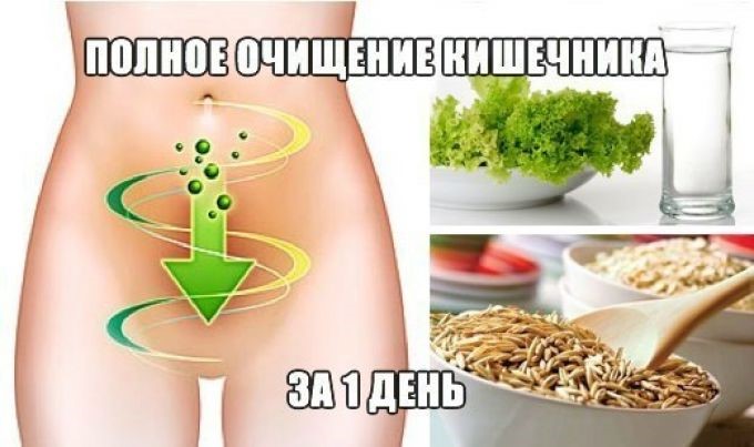 Как можно очистить почки в домашних условиях Как можно очистить почки в домашних условиях