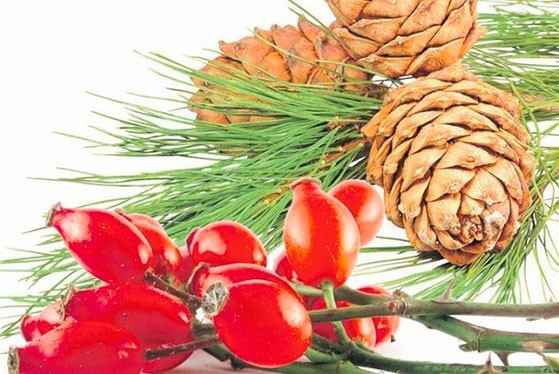 Как очистить сосуды? Как очистить сосуды?