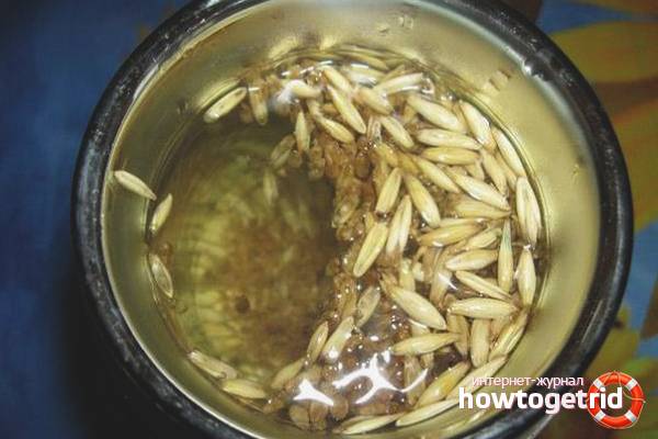 Завариваем овес для лечения печени Завариваем овес для лечения печени