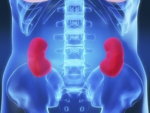 Мочевина в крови повышена: причины и как лечить пациента при данном нарушении? Мочевина в крови повышена: причины и как лечить пациента при данном нарушении?