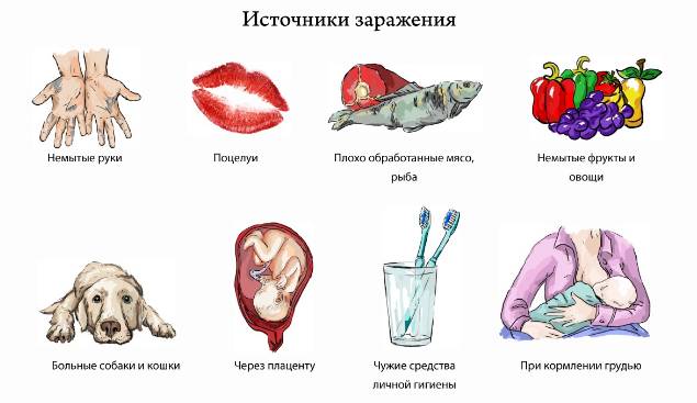 Как узнать, есть ли у ребенка в организме глисты? Как узнать, есть ли у ребенка в организме глисты?