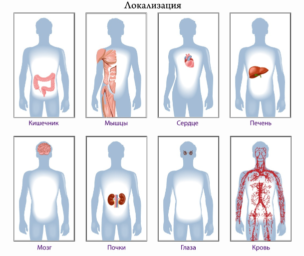 Как узнать, есть ли у ребенка в организме глисты? Как узнать, есть ли у ребенка в организме глисты?