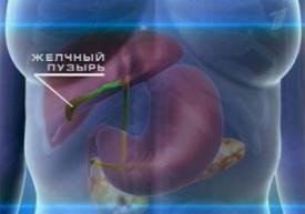 Заброс желчи в желудок: причины и методы лечения Заброс желчи в желудок: причины и методы лечения