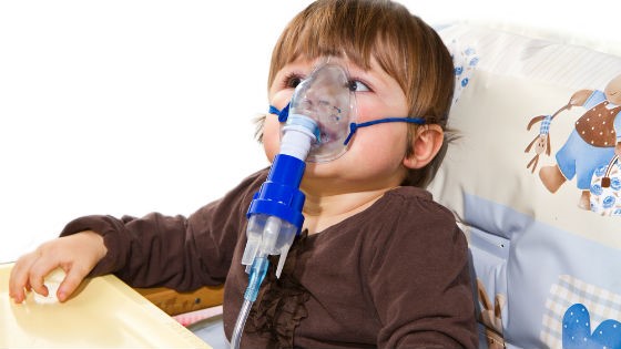 Инкубационный период коклюша, симптомы и лечение заболевания Инкубационный период коклюша, симптомы и лечение заболевания