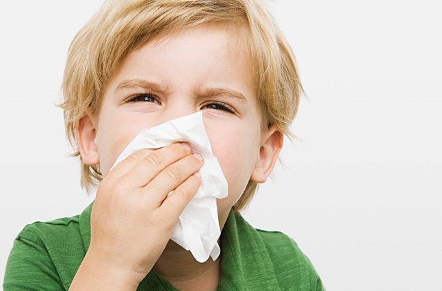 Настойка прополиса от кашля: полезные свойства, применение в детском возрасте Настойка прополиса от кашля: полезные свойства, применение в детском возрасте