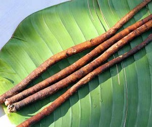 ТОП-10 рецептов народной медицины против эрозии желудка ТОП-10 рецептов народной медицины против эрозии желудка