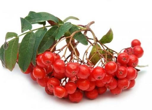 Лечение панкреатита народными средствами самые эффективные Лечение панкреатита народными средствами самые эффективные