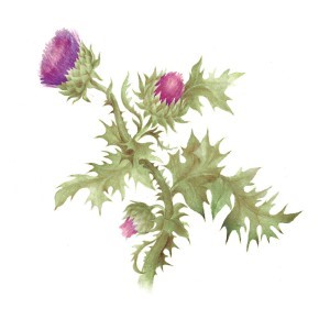 Лечение симптомов ревматоидного артрита народными средствами (травы, баня): отзывы Лечение симптомов ревматоидного артрита народными средствами (травы, баня): отзывы