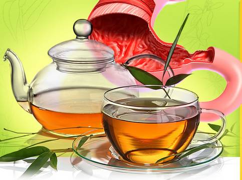 Действенные народные средства для лечения желудка Действенные народные средства для лечения желудка