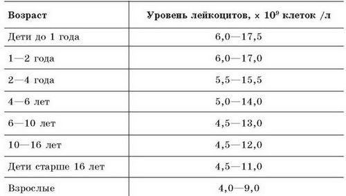 Содержание лейкоцитов в крови при беременности Содержание лейкоцитов в крови при беременности