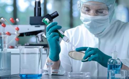 Содержание лейкоцитов в крови при беременности Содержание лейкоцитов в крови при беременности