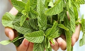 Клизма при беременности, экстренное очищение Клизма при беременности, экстренное очищение