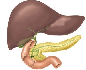 Как следует лечить поджелудочную железу при сахарном диабете Как следует лечить поджелудочную железу при сахарном диабете
