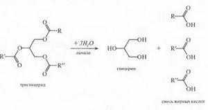 Как следует лечить поджелудочную железу при сахарном диабете Как следует лечить поджелудочную железу при сахарном диабете