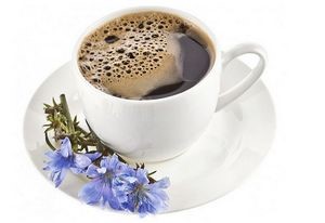 Благотворное влияние цикория при панкреатите Благотворное влияние цикория при панкреатите