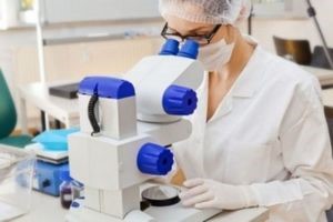 Что такое незрелые гранулоциты в анализе крови Что такое незрелые гранулоциты в анализе крови