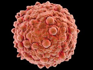 Какая норма лейкоцитов в моче и что делать, если показатели отклоняются от нормы Какая норма лейкоцитов в моче и что делать, если показатели отклоняются от нормы