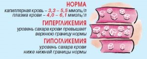 Сколько должно быть глюкозы в крови: нормальные показатели Сколько должно быть глюкозы в крови: нормальные показатели