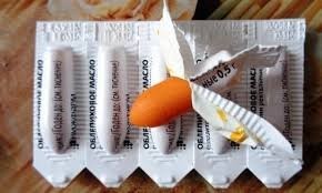 Свечи облепиховые: инструкция. Особенности применения Свечи облепиховые: инструкция. Особенности применения