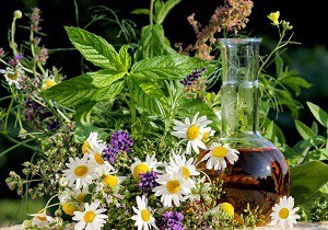 Панкреатит у ребенка: основные причины, симптомы и лечение Панкреатит у ребенка: основные причины, симптомы и лечение