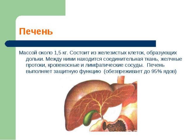 Печеночные пробы: расшифровка показателей, норма Печеночные пробы: расшифровка показателей, норма