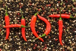 Какое лекарство можно принять, если болит поджелудочная железа? Какое лекарство можно принять, если болит поджелудочная железа?