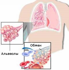 Пневмосклероз Пневмосклероз