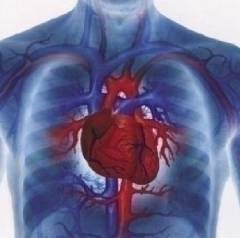 Пневмосклероз Пневмосклероз