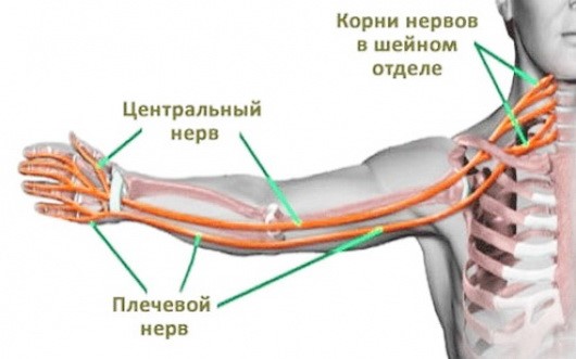 Боли за грудиной в ночное время и онемение рук утром Боли за грудиной в ночное время и онемение рук утром