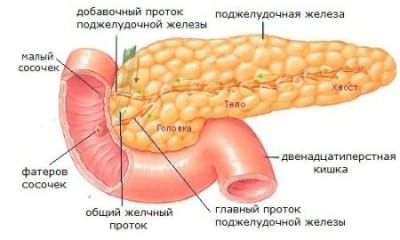 Воздействие алкоголя при панкреатите Воздействие алкоголя при панкреатите
