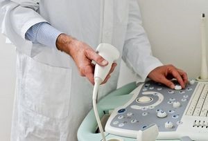 Какими должны быть размеры поджелудочной железы в норме? Какими должны быть размеры поджелудочной железы в норме?